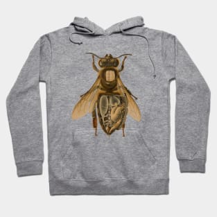 Anatomy of a Bee Hoodie